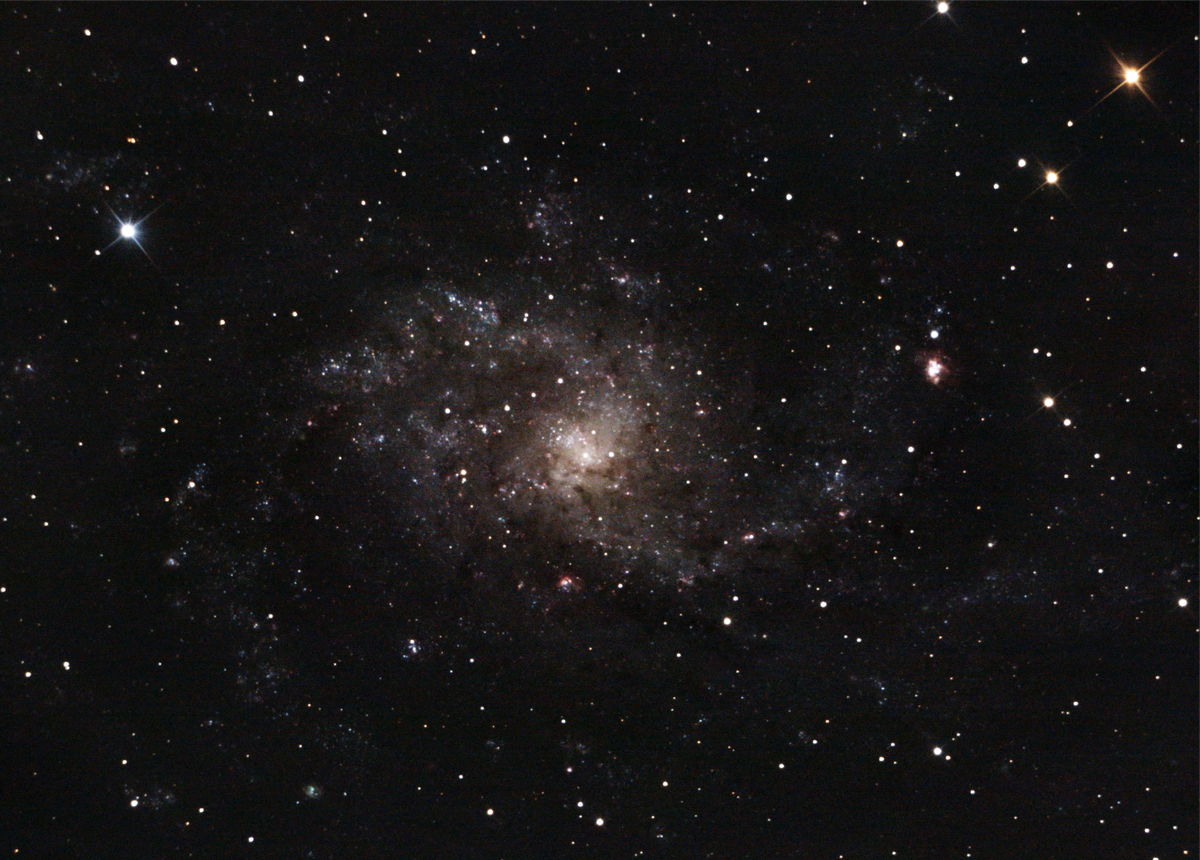 Messier 33 (Triangulum Galaxy) — face-on spiral, deeper Plau am See session 11 Oct 2025