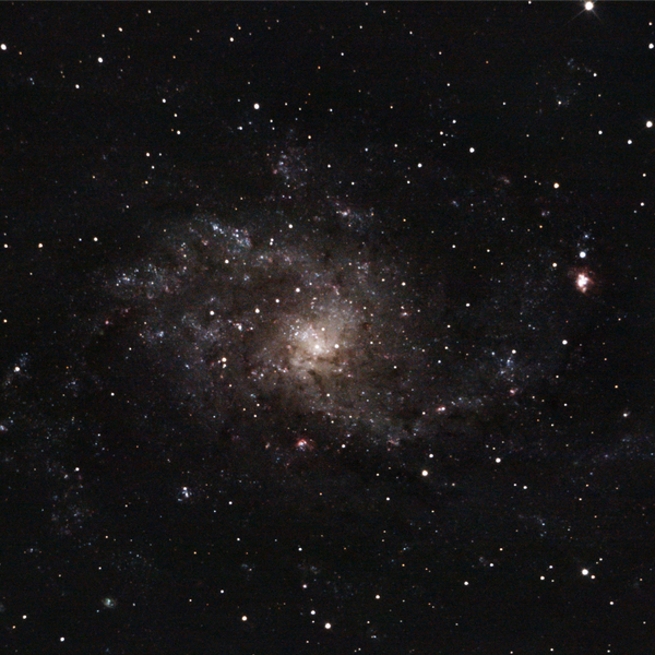 Messier 33 (Triangulum Galaxy) — face-on spiral, deeper Plau am See session 11 Oct 2025