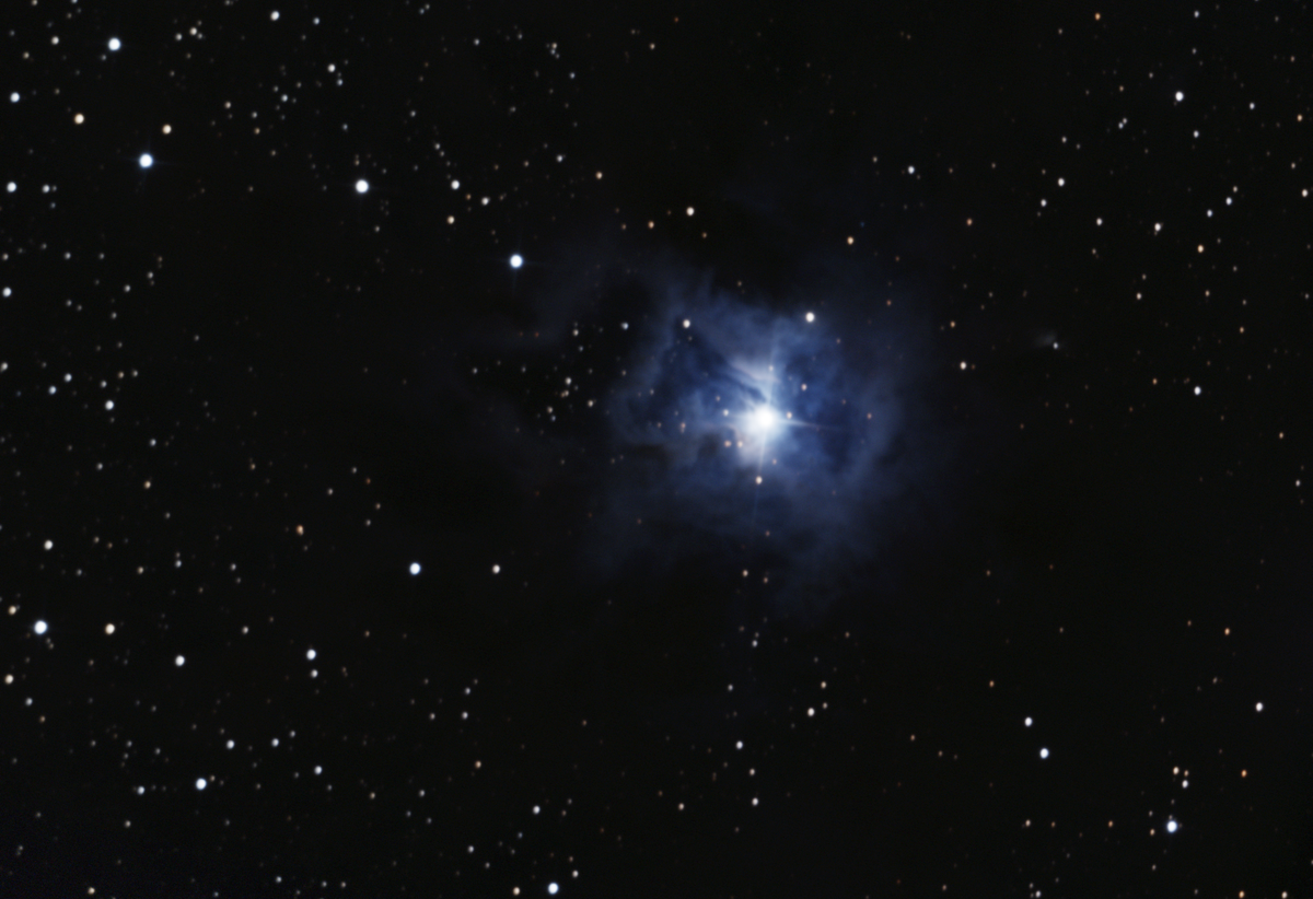 NGC 7023 (Iris Nebula) in Cepheus — blue reflection nebula in LDN 1174, photographed from Plau am See on 19-20 Oct 2025