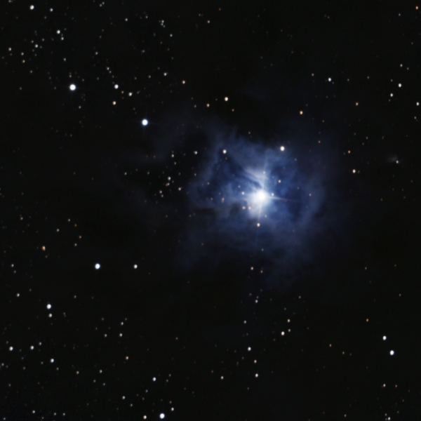 NGC 7023 (Iris Nebula) in Cepheus — blue reflection nebula in LDN 1174, photographed from Plau am See on 19-20 Oct 2025