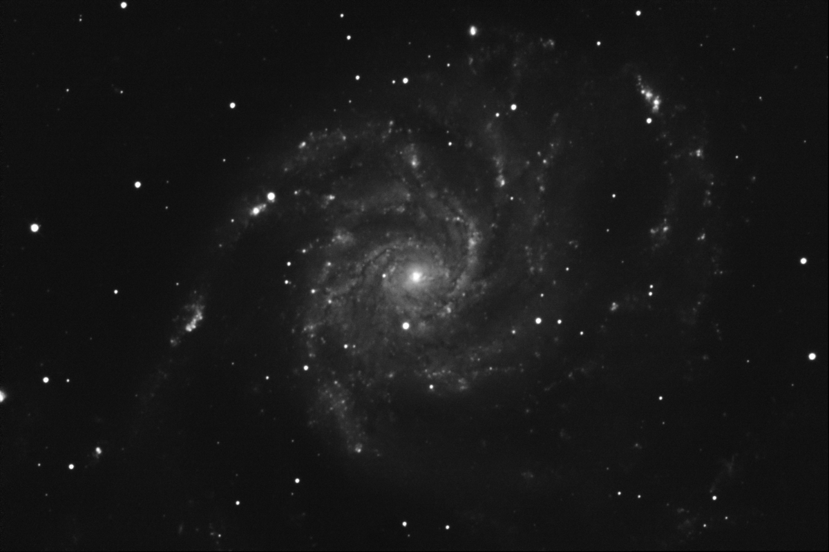 Messier 101 (Pinwheel Galaxy) in Ursa Major — mono LRGB + Hα stack from Plau am See