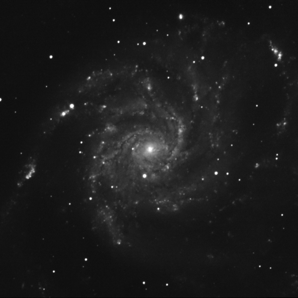 Messier 101 (Pinwheel Galaxy) in Ursa Major — mono LRGB + Hα stack from Plau am See