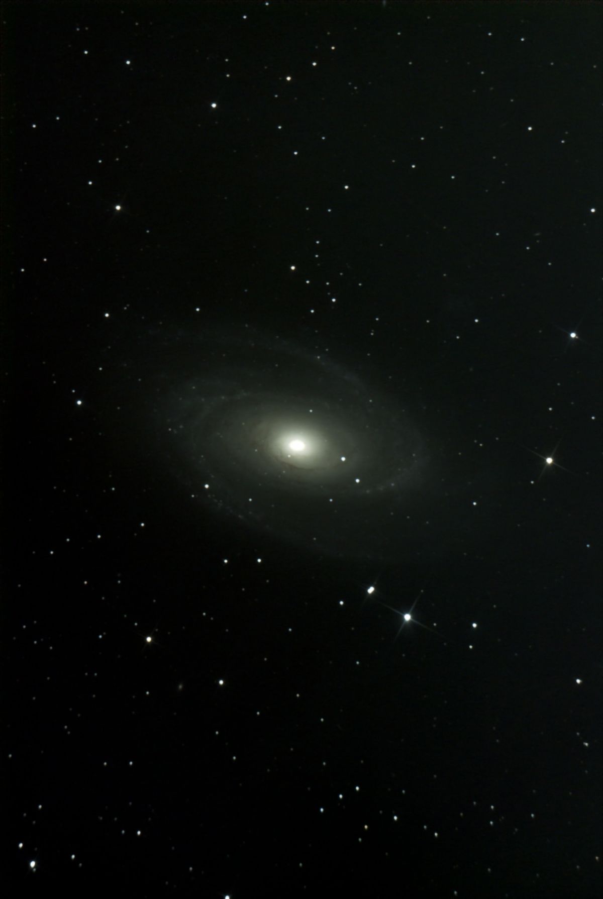 Bode's Galaxy (M81), a grand-design spiral galaxy in Ursa Major with two sweeping symmetric arms and a bright core