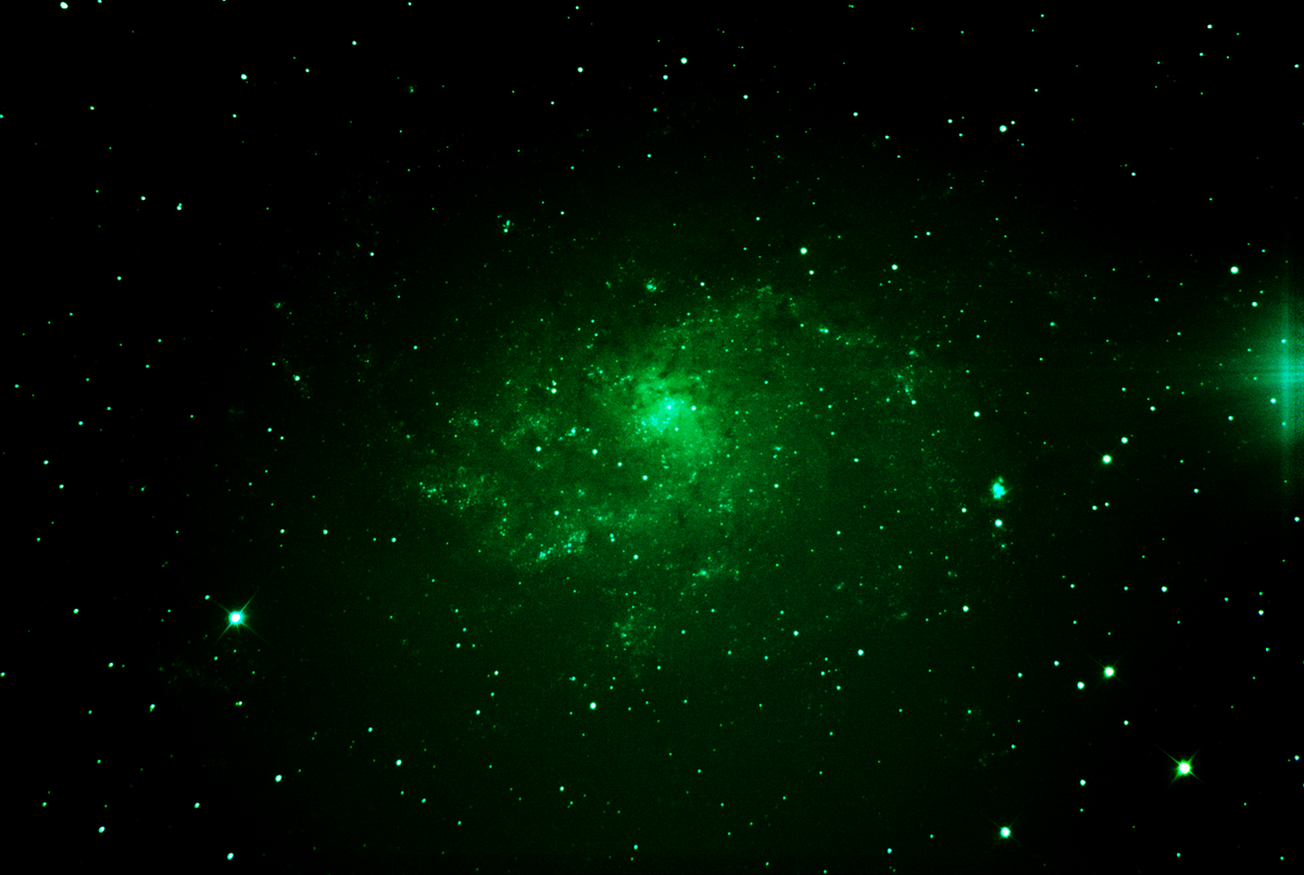 Messier 33 (Triangulum Galaxy) — face-on spiral in the Local Group, photographed from Plau am See on 6 Sep 2025