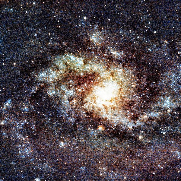 Messier 33 (Triangulum Galaxy) — face-on spiral in the Local Group, photographed from Plau am See on 6 Sep 2025