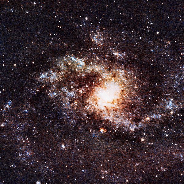 Messier 33 (Triangulum Galaxy) — face-on spiral in the Local Group, photographed from Plau am See on 6 Sep 2025