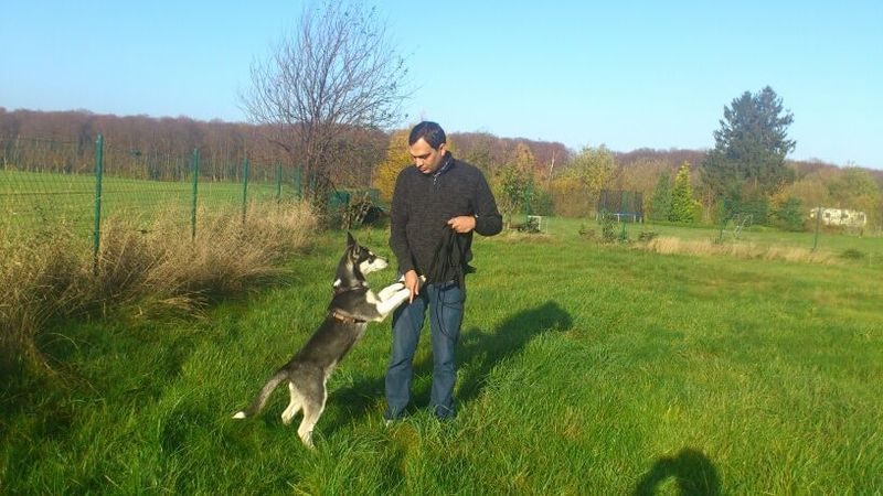 Young Bruno leaping up to greet Nirmal in a green field, 2014