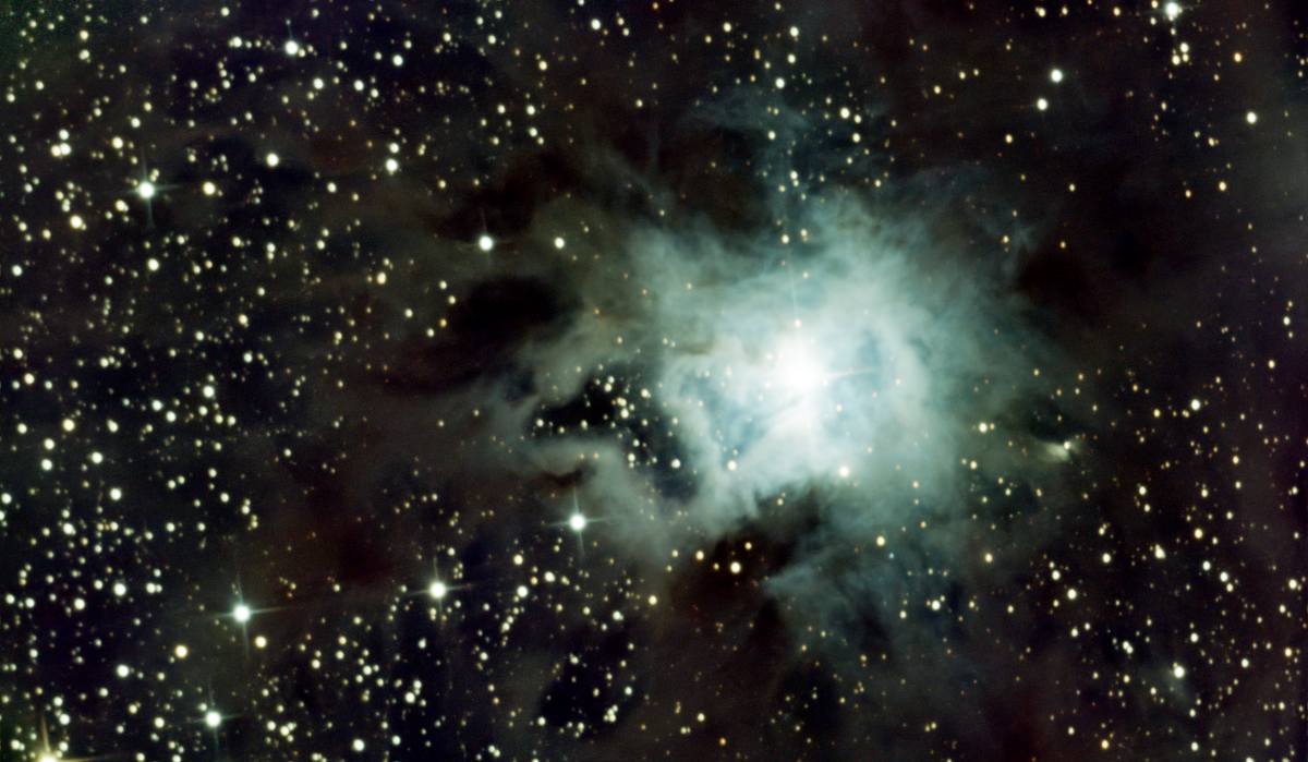 NGC 7023 (Iris Nebula) in Cepheus — blue reflection nebula in LDN 1174, photographed from Plau am See on 19-20 Oct 2025