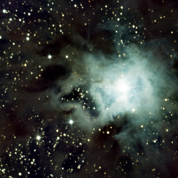 NGC 7023 (Iris Nebula) in Cepheus — blue reflection nebula in LDN 1174, photographed from Plau am See on 19-20 Oct 2025