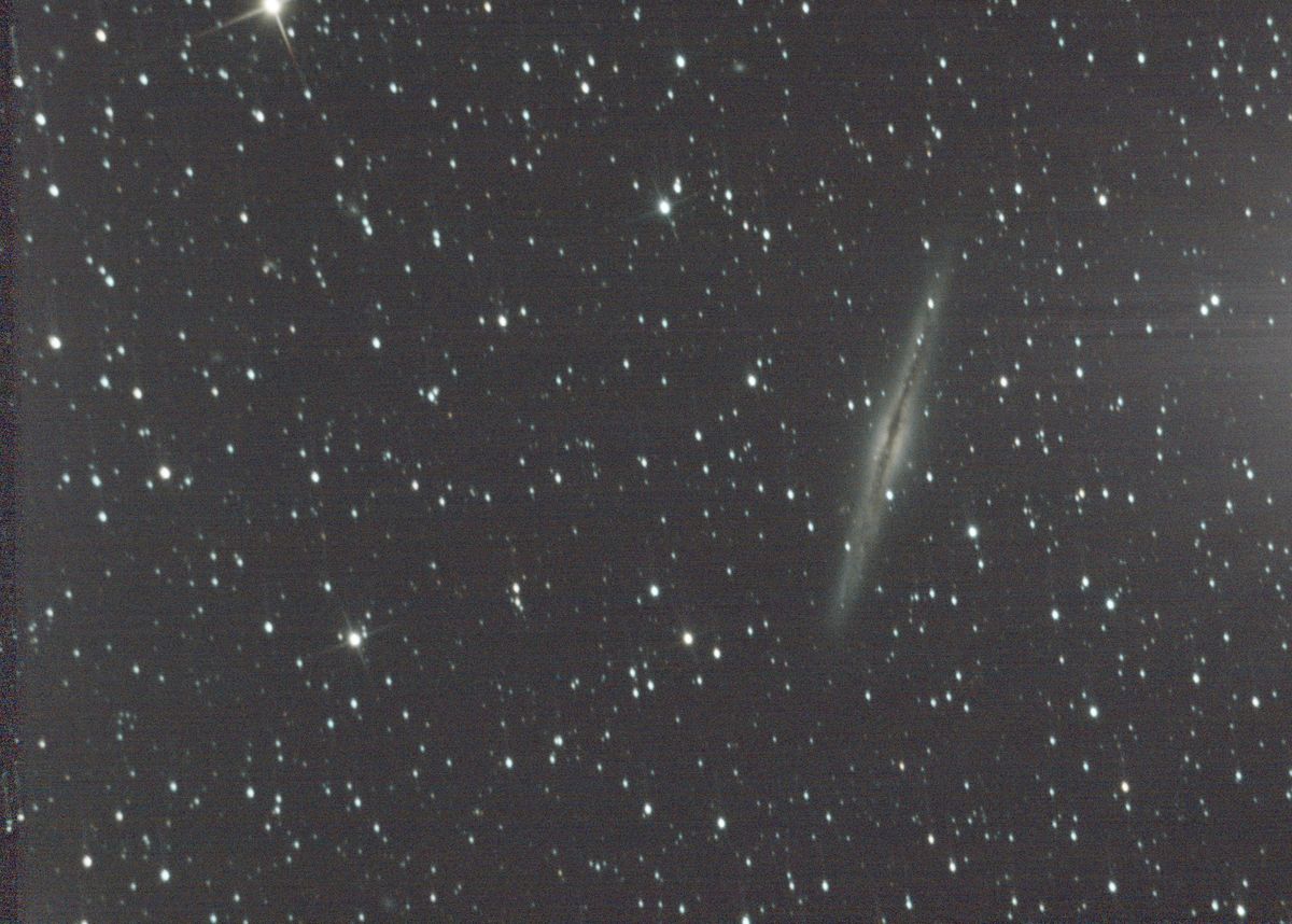 The edge-on spiral galaxy NGC 891 in Andromeda, a thin needle of starlight crossed by a dark central dust lane