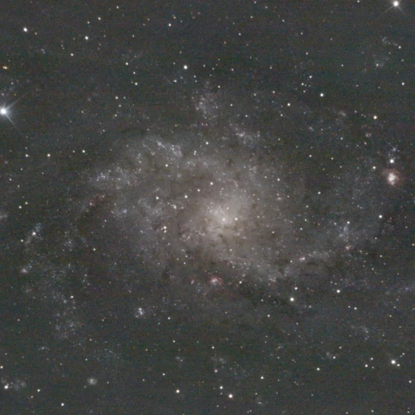 Messier 33 (Triangulum Galaxy) — face-on spiral, deeper Plau am See session 11 Oct 2025