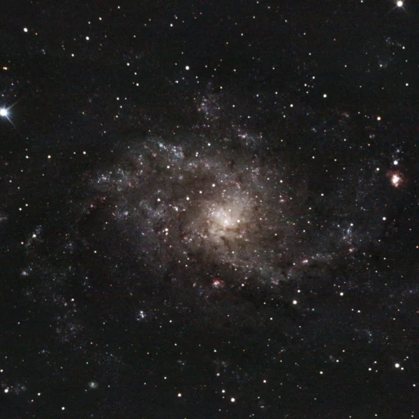 Messier 33 (Triangulum Galaxy) — face-on spiral, deeper Plau am See session 11 Oct 2025