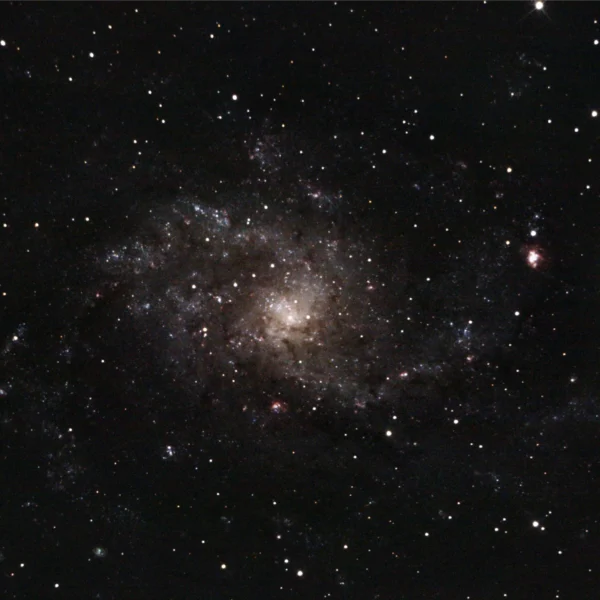 Messier 33 (Triangulum Galaxy) — face-on spiral, deeper Plau am See session 11 Oct 2025
