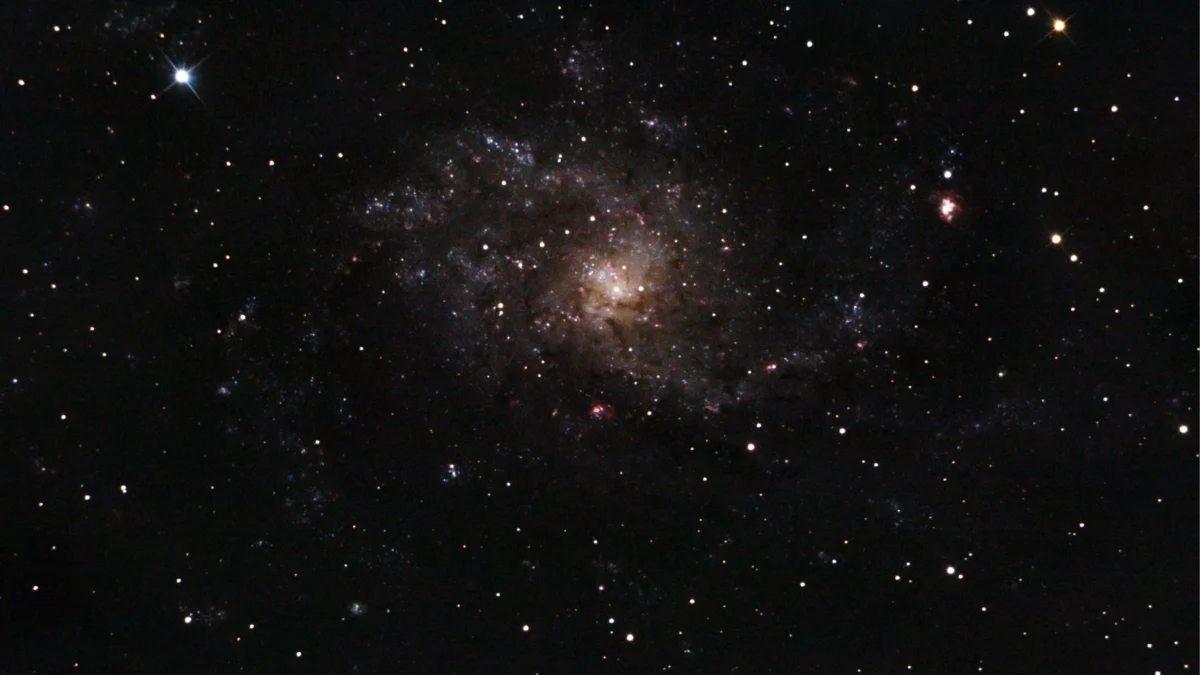Messier 33 (Triangulum Galaxy) — face-on spiral, deeper Plau am See session 11 Oct 2025