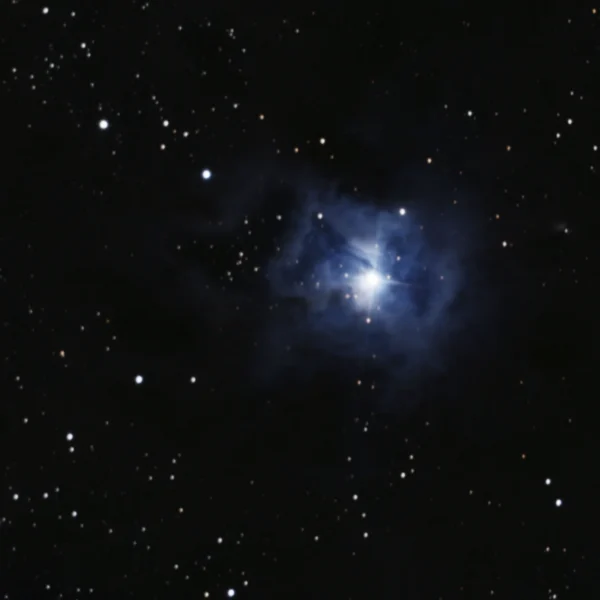 NGC 7023 (Iris Nebula) in Cepheus — blue reflection nebula in LDN 1174, photographed from Plau am See on 19-20 Oct 2025