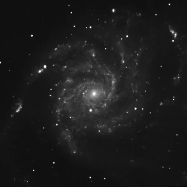 Messier 101 (Pinwheel Galaxy) in Ursa Major — mono LRGB + Hα stack from Mecklenburg-Vorpommern