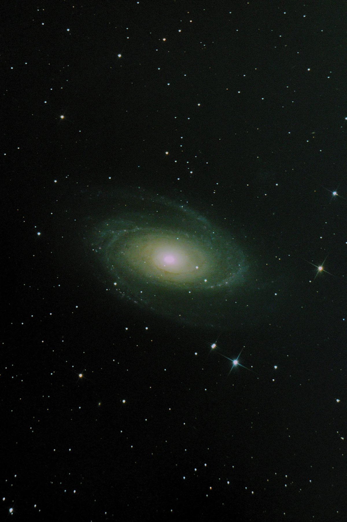 Bode's Galaxy (M81) in a wider field showing the spiral arms and surrounding starfield