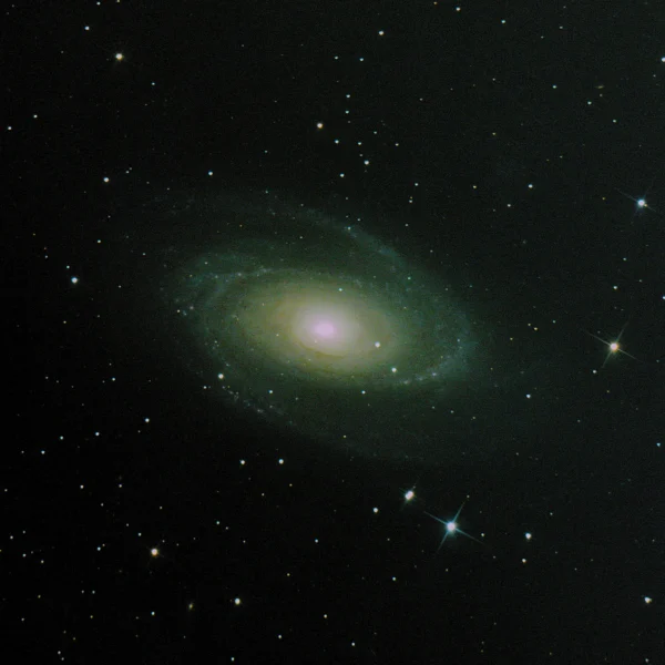 Bode's Galaxy (M81) in a wider field showing the spiral arms and surrounding starfield