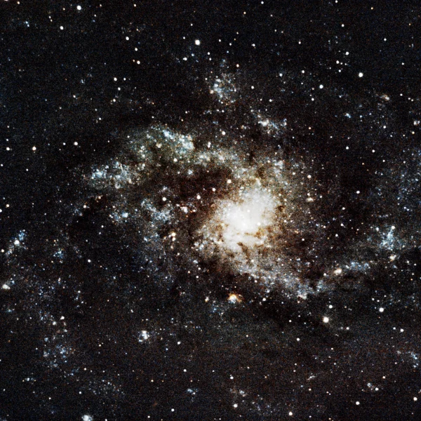 Messier 33 (Triangulum Galaxy) — face-on spiral in the Local Group, photographed from Plau am See on 6 Sep 2025