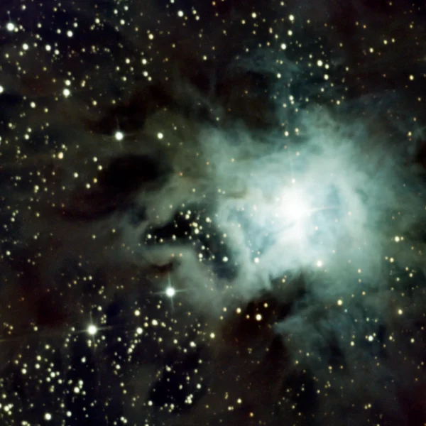 NGC 7023 (Iris Nebula) in Cepheus — blue reflection nebula in LDN 1174, photographed from Plau am See on 19-20 Oct 2025