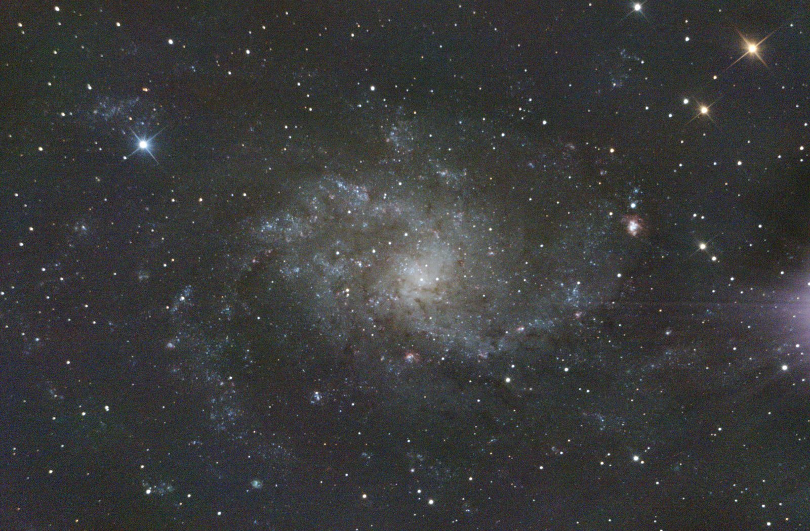 The Triangulum Galaxy from a Backyard (M33)